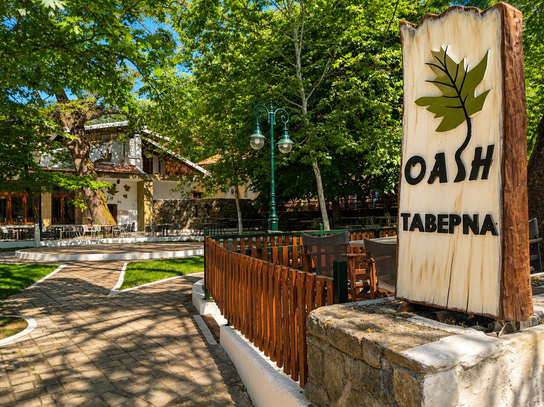 Tavérna Óasi