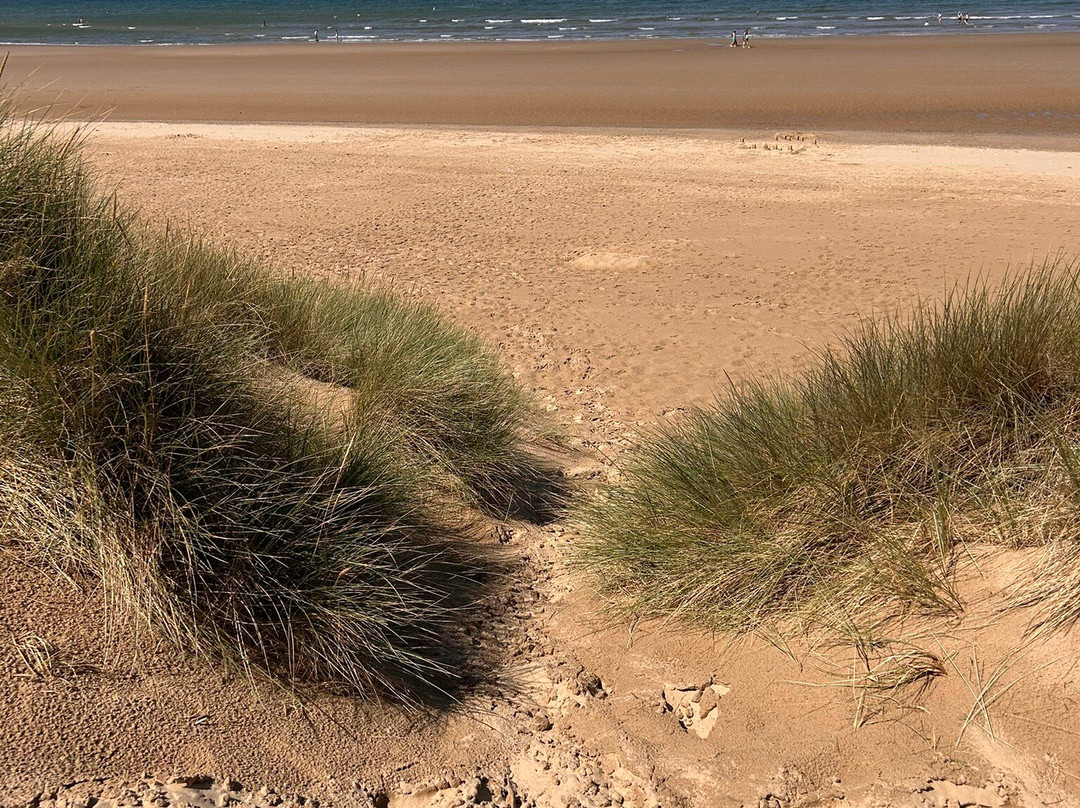 Holkham Bay-Wells-next-the-Sea必去景点