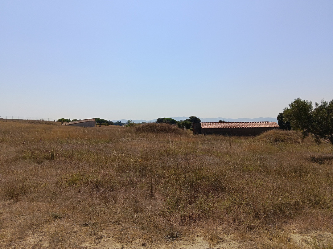 Museo Archeologico Nazionale Di Tarquinia-塔尔奎尼亚必去景点