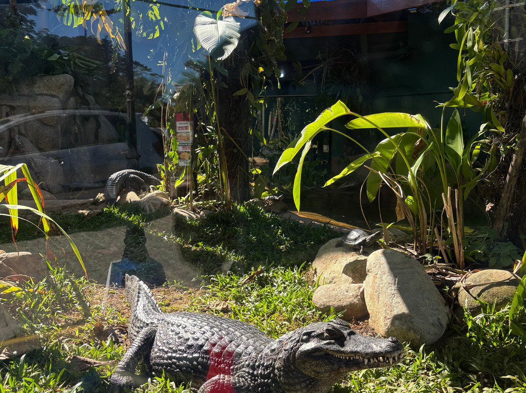 Ubatuba Aquarium-乌巴图巴必去景点