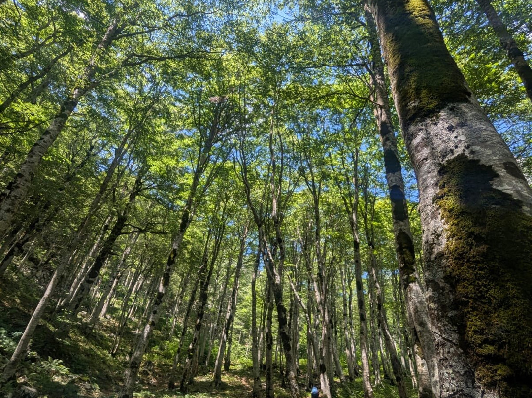Summit Balkans-Mitrovica必去景点