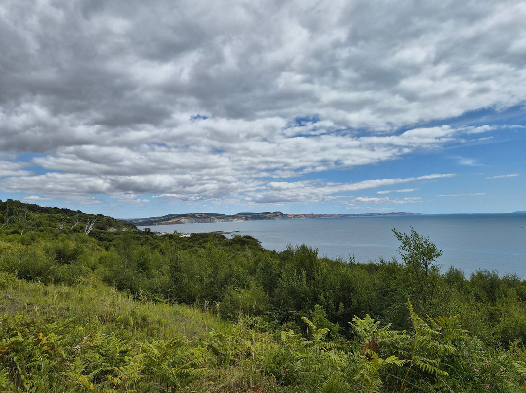 Lyme Regis Undercliff-莱姆里杰斯必去景点