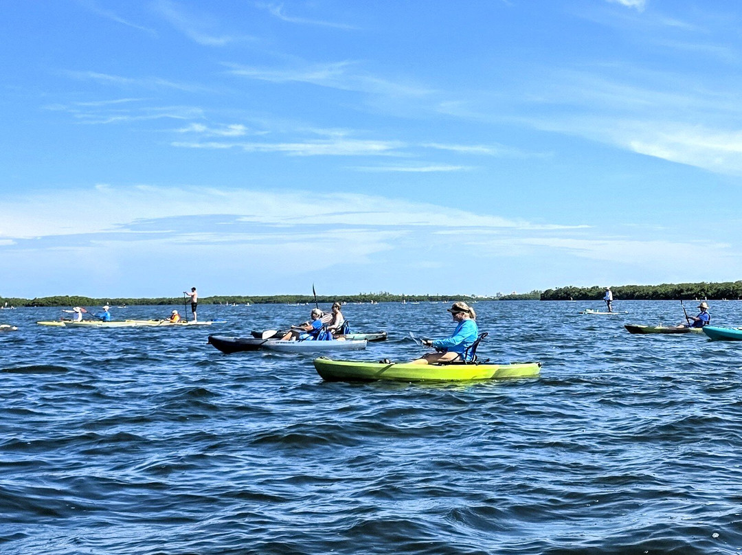Shell Key Tour with Capt Yak-Tierra Verde必去景点