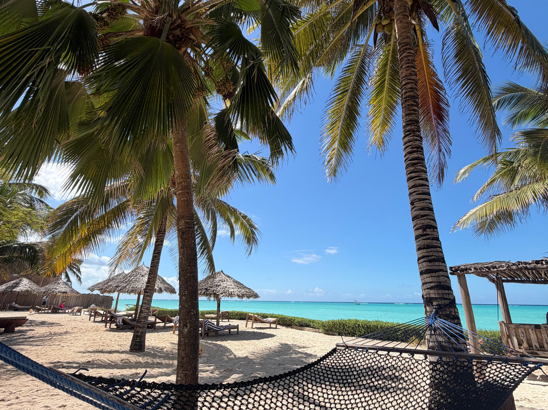 桑给巴尔精品酒店主图