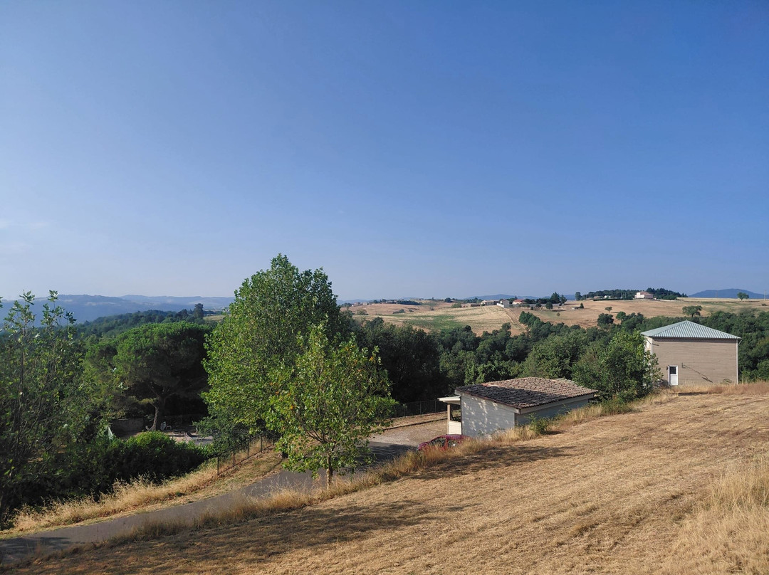 Domaine Du Moulin