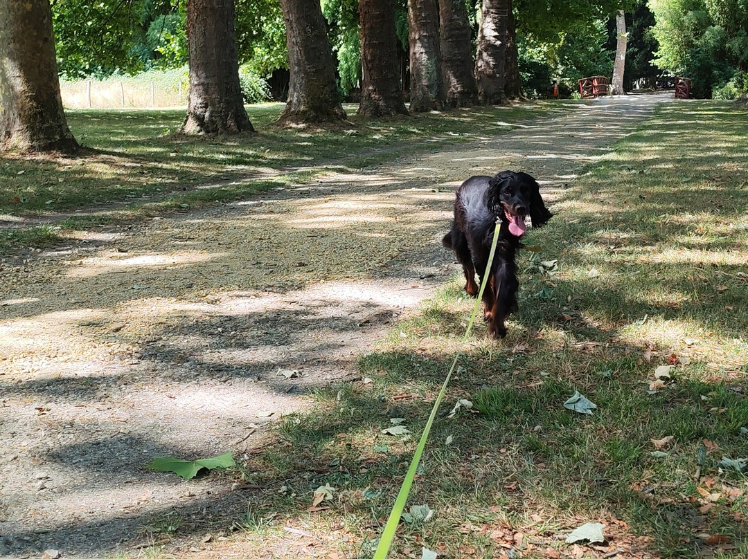 Parc de Richelieu-Richelieu必去景点