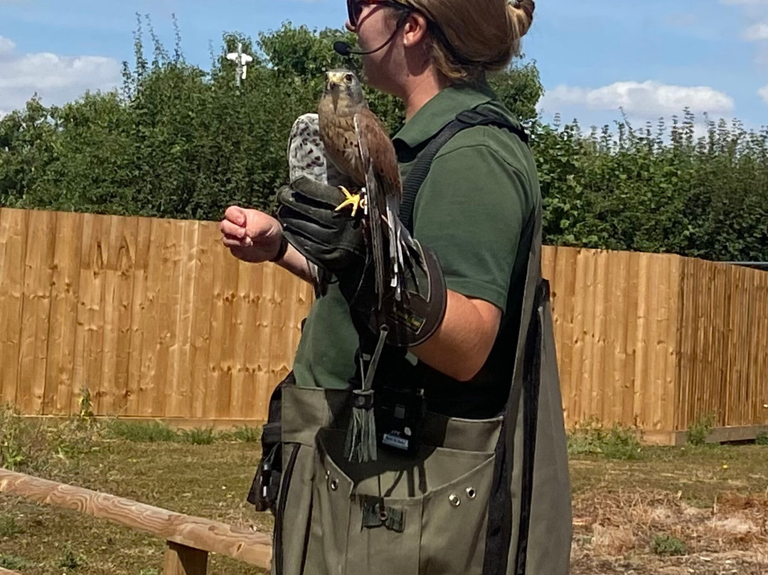 Suffolk Owl Sanctuary-Stonham Aspal必去景点