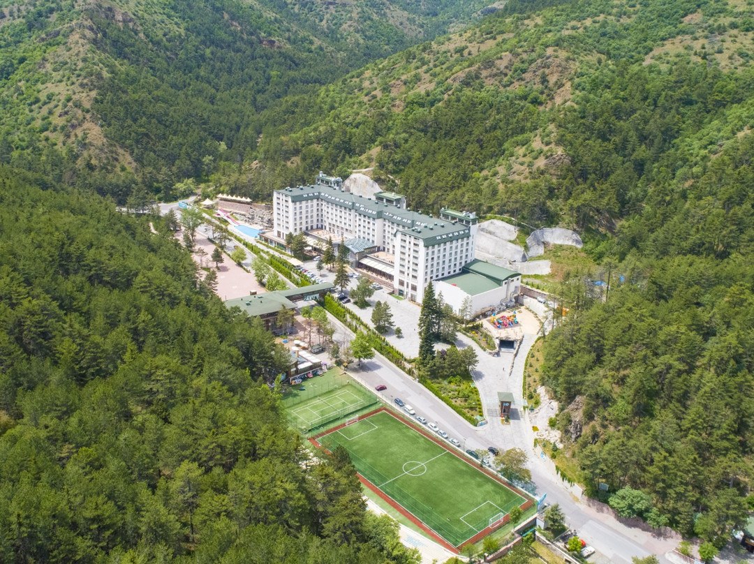 安卡拉省酒店住宿-Çam Thermal Resort & Spa Hotel
