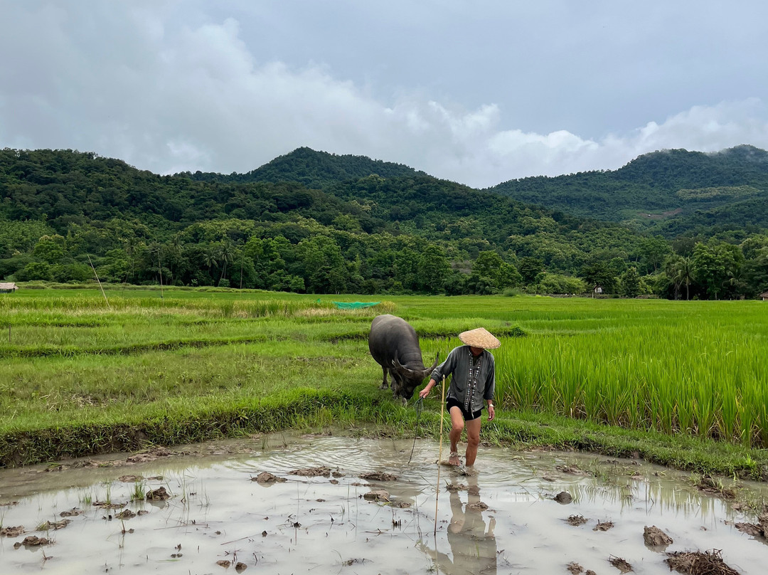 Living Land农场体验之旅-琅勃拉邦必去景点