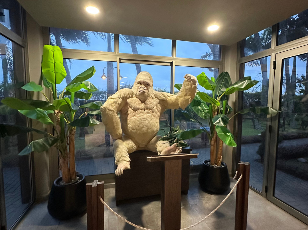 Hotel Panáfrica Boutique & Spa主图