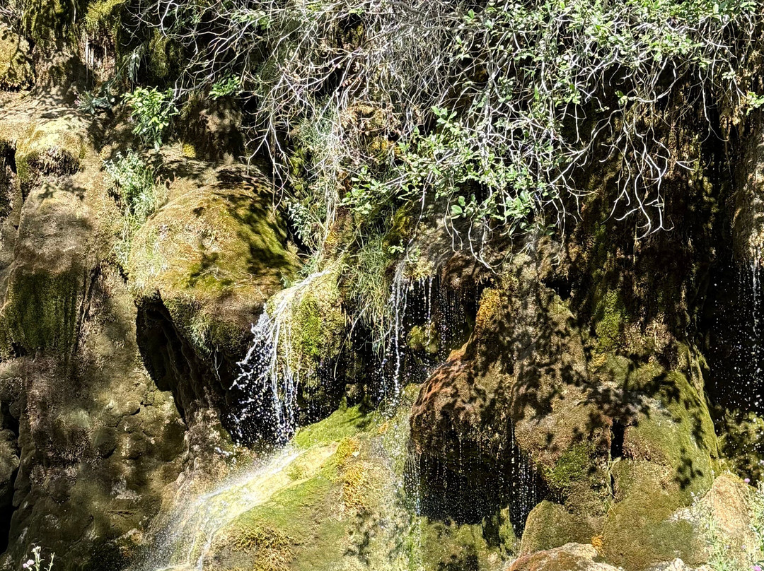 Nacimiento Del Rio Cuervo-Vega del Codorno必去景点