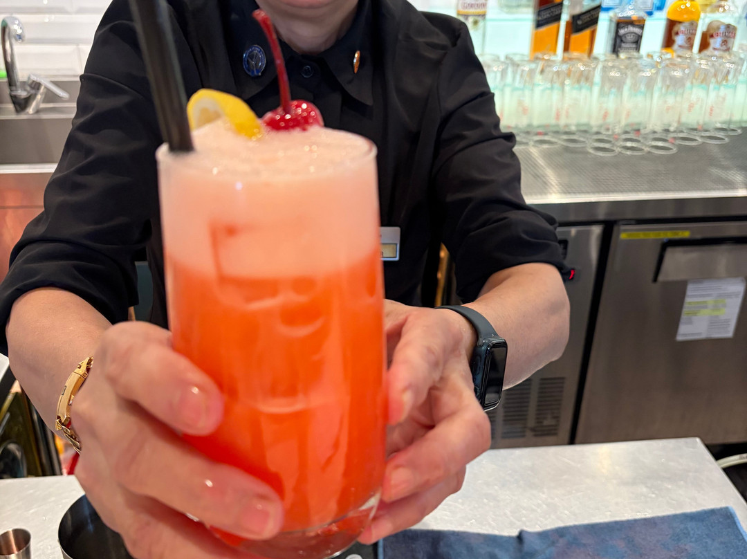 Plaza Premium Lounge (International Departures, Terminal 1)-新加坡必去景点