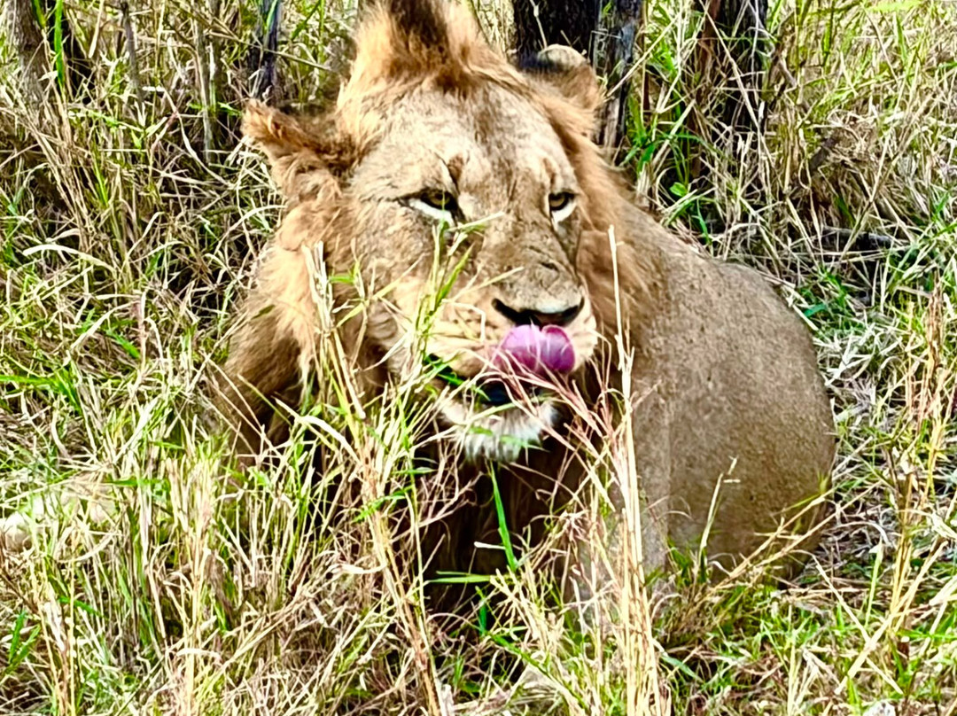 Umkumbe Safari Lodge主图