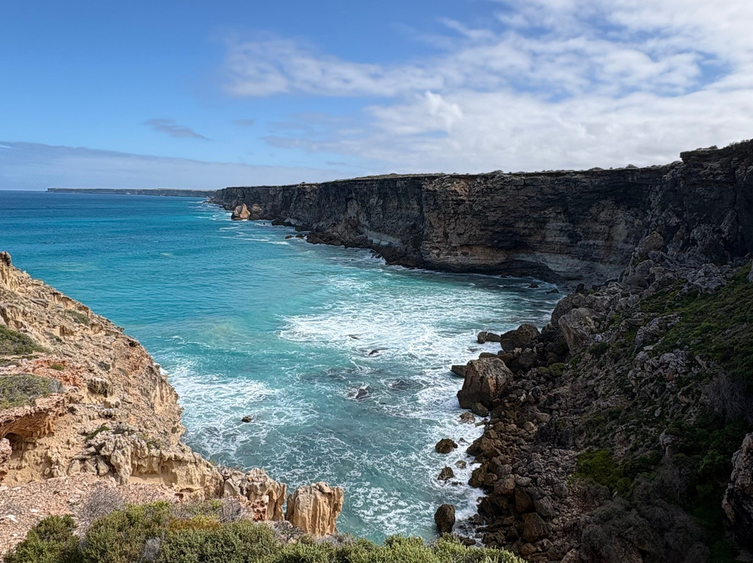 Head of Bight-Ceduna必去景点