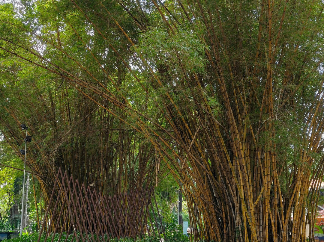 Americo Renee Giannetti Municipal Park-贝洛哈里桑塔必去景点