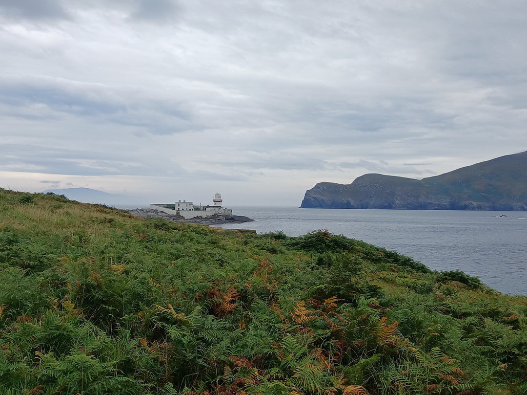 Glanleam House & Subtropical Gardens-Valentia Island必去景点