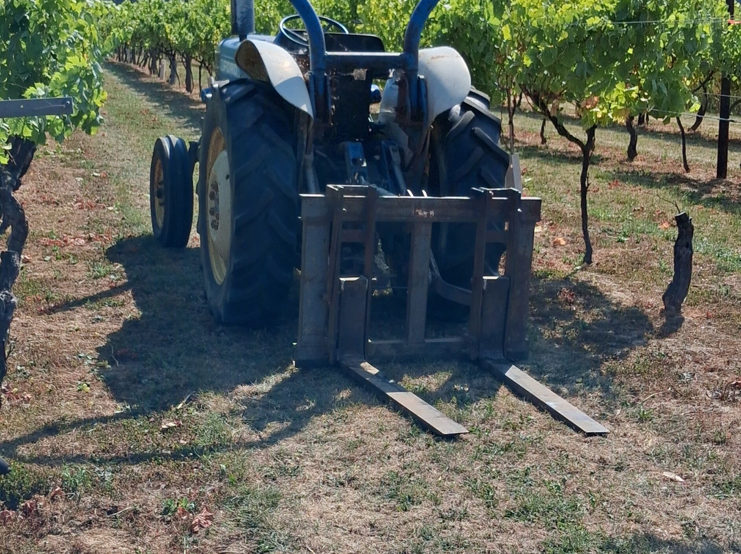 Biddenden Vineyards-Biddenden必去景点