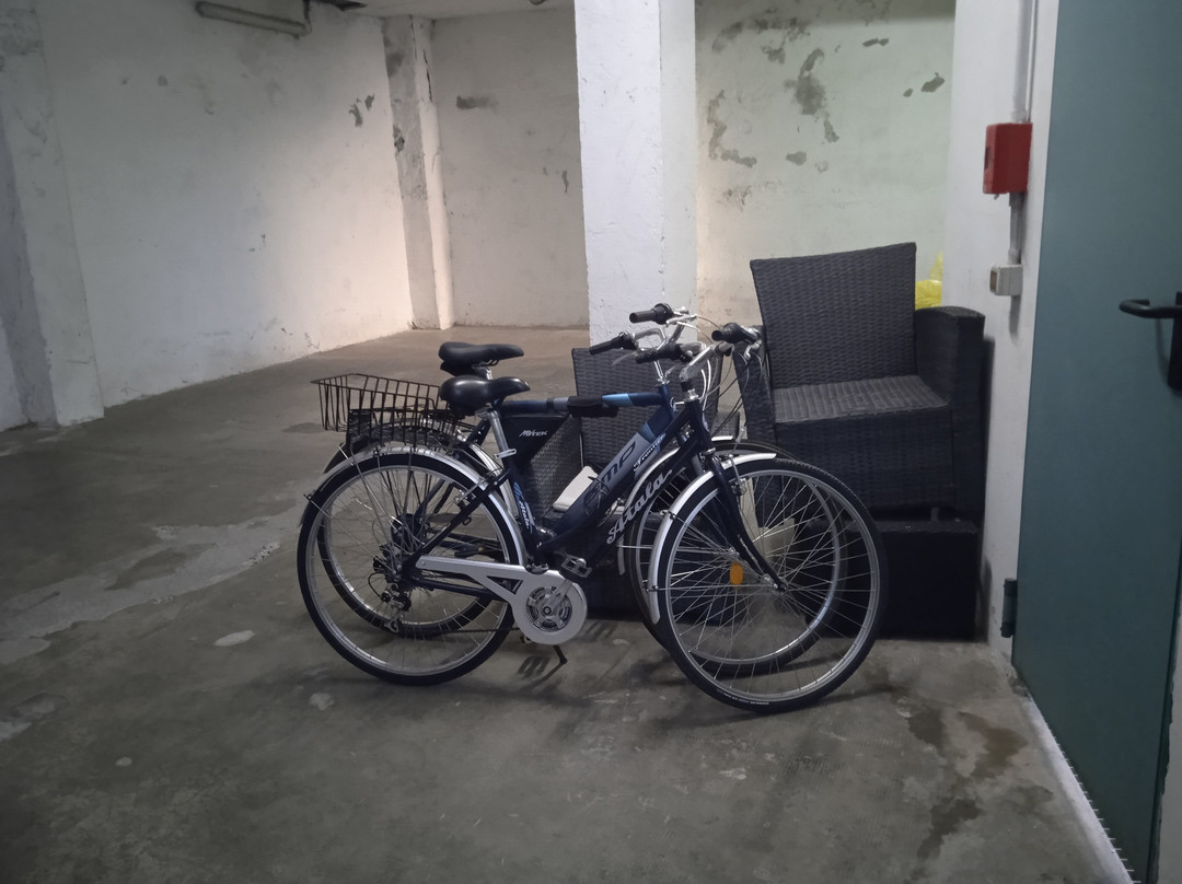 Noleggio Bici Varese 15€ Te Le Porto Dove Vuoi