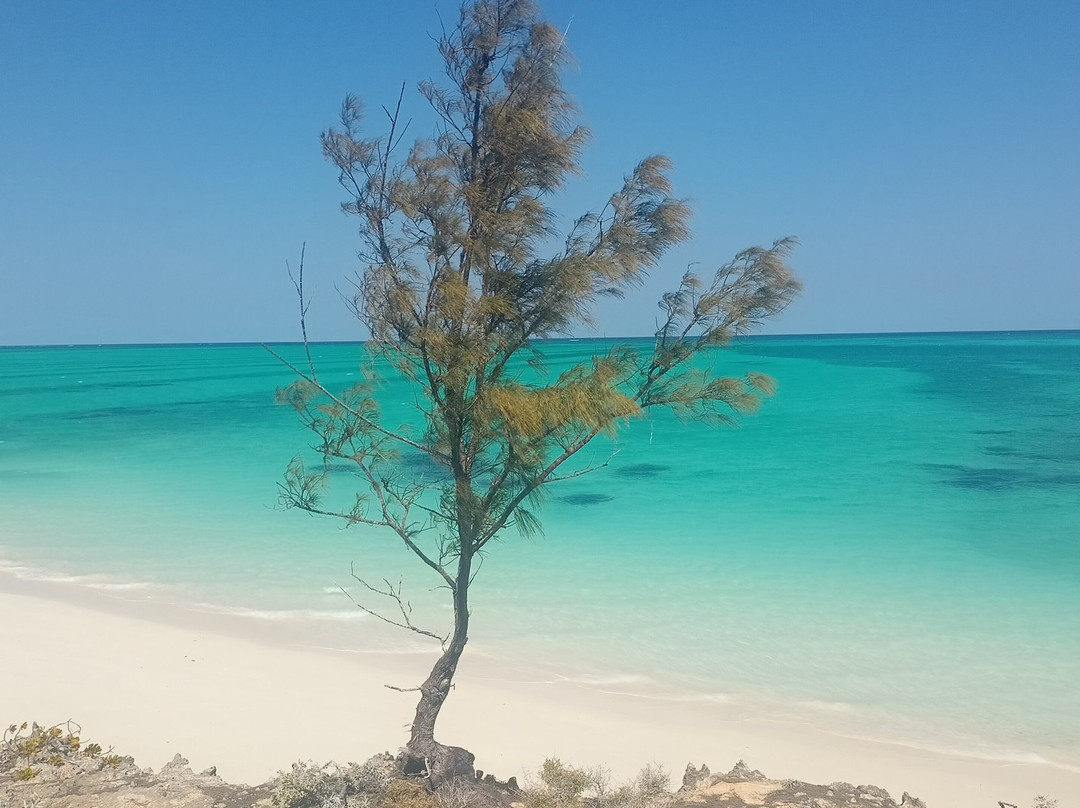 Kokoa Sands Guest House - Ankasy Madagascar主图