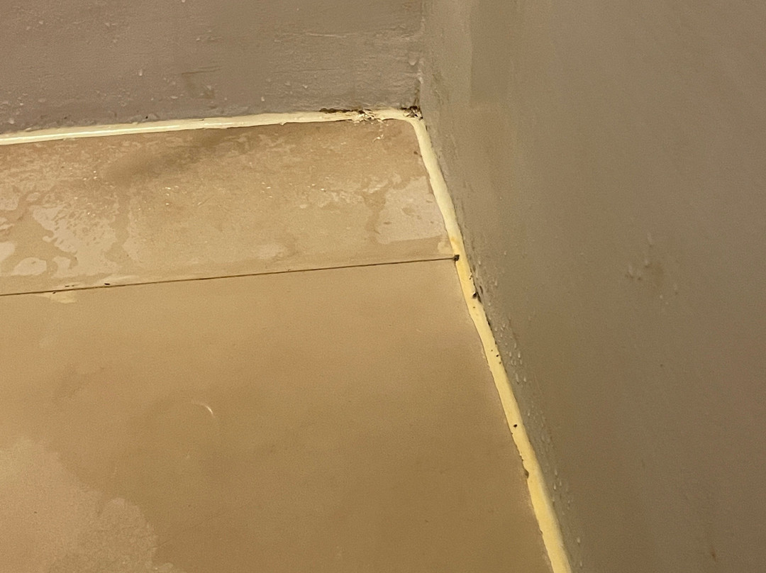 蒙特贝罗伊利亚沃酒店主图