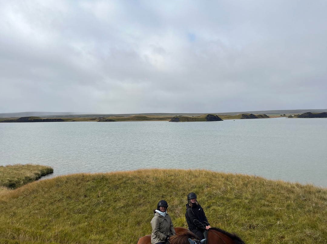 Safari Horse Rental-米湖必去景点
