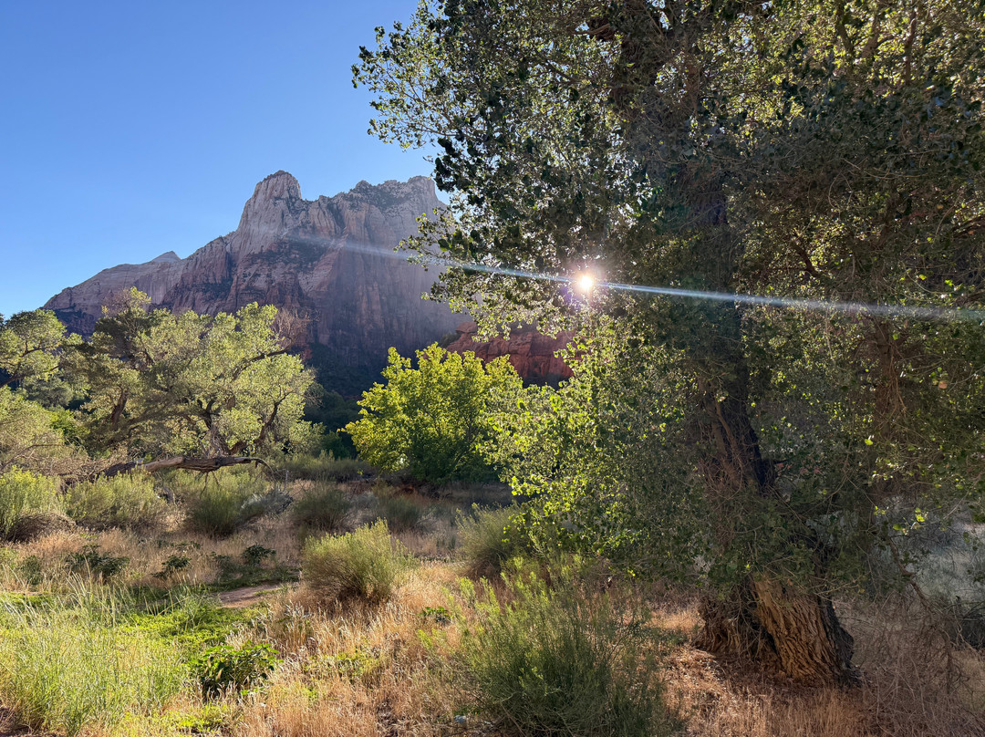Pa'rus Trail-锡安国家公园必去景点