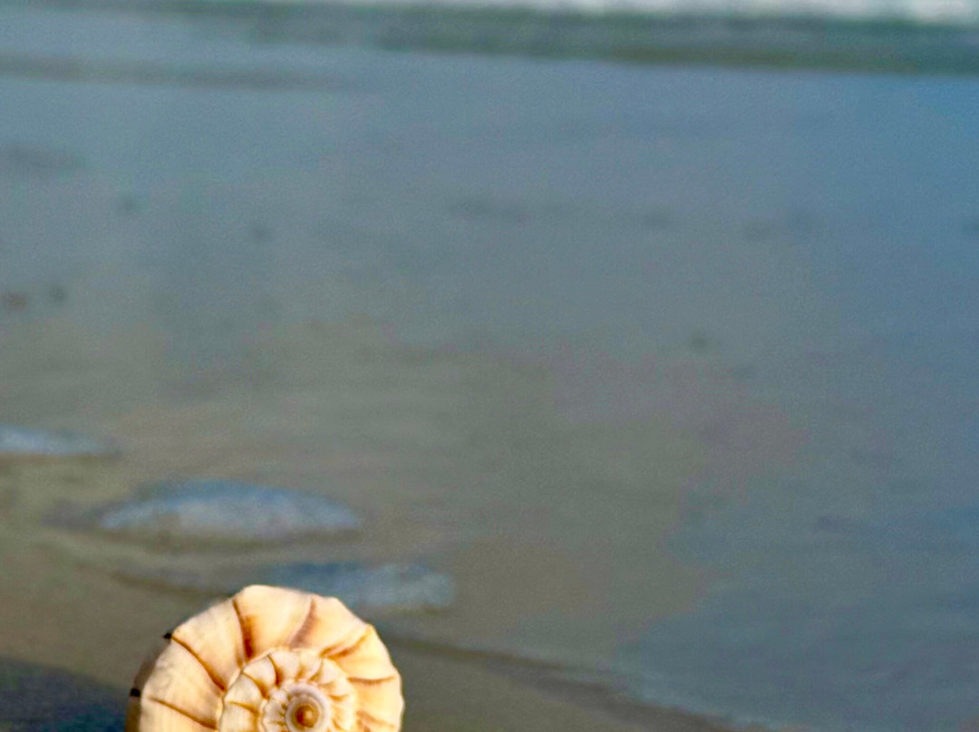 明珠大酒店主图