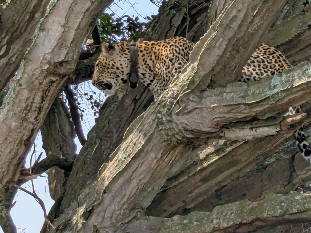 Emerald of Africa Safaris-布恩迪难以穿越的国家公园必去景点