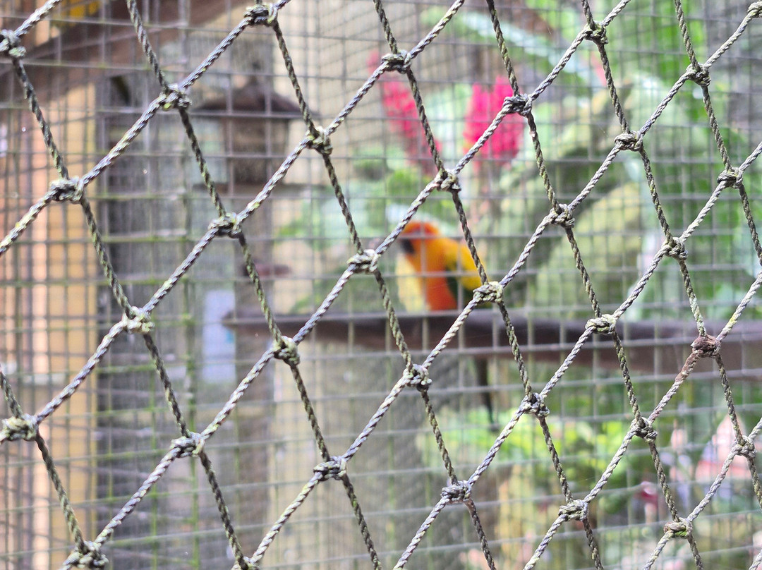 Harrison's Cave Eco-Adventure Park-Saint Thomas Parish必去景点