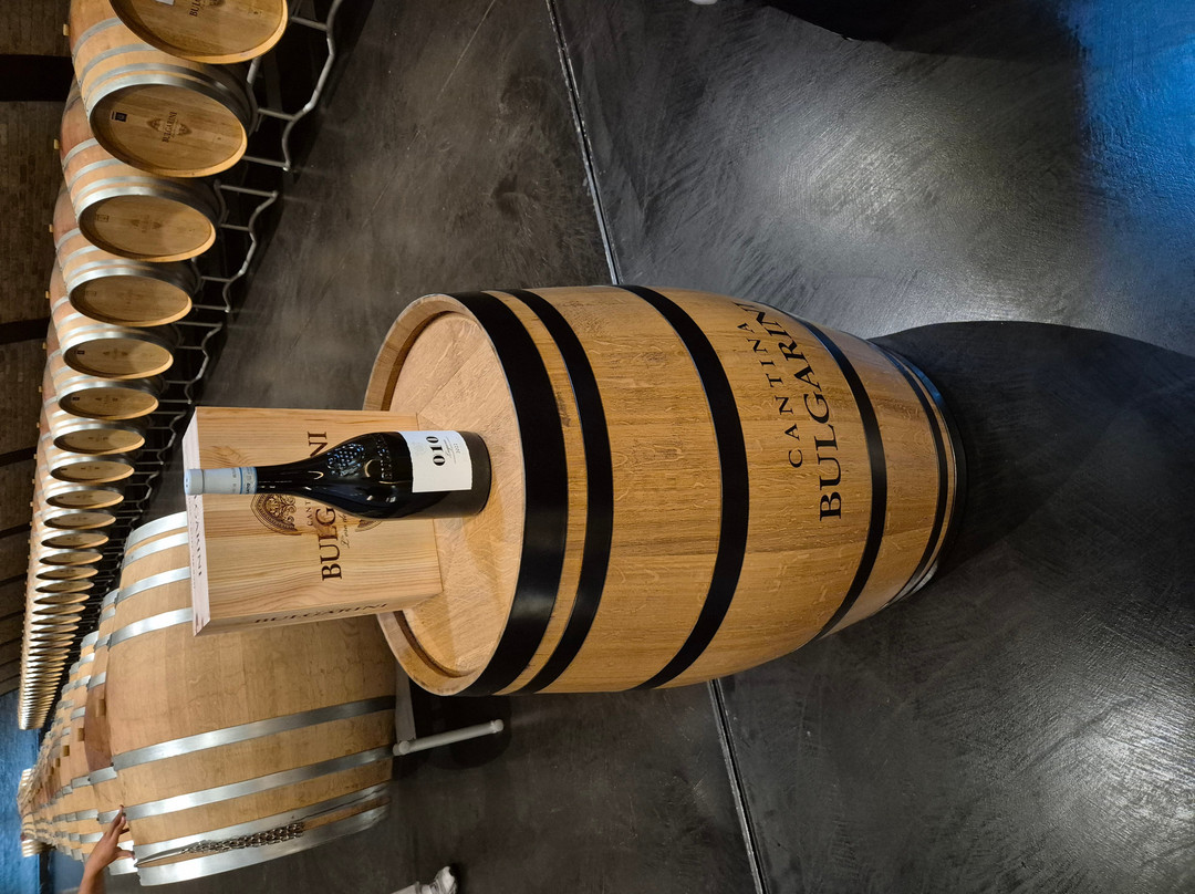 Azienda Agricola Bulgarini - Cantina Bulgarini-Pozzolengo必去景点