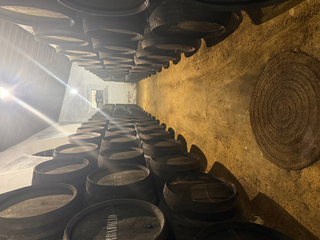 Bodegas Barbadillo-Sanlucar de Barrameda必去景点
