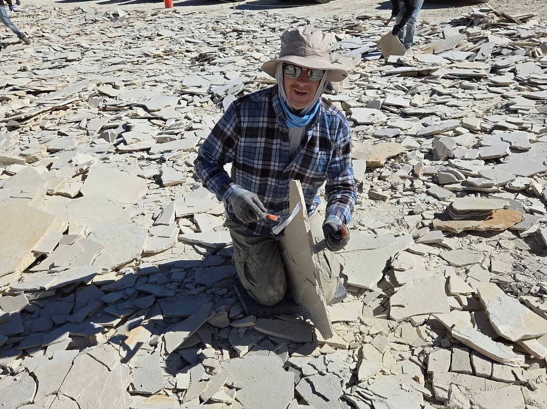 Fossil Lake Safari By Fossilera Adventures-Kemmerer必去景点