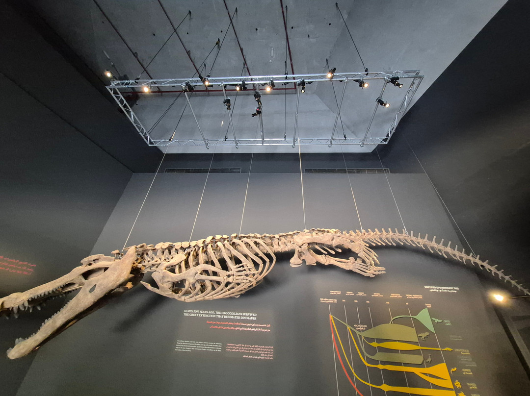 Dubai Crocodile Park-迪拜必去景点