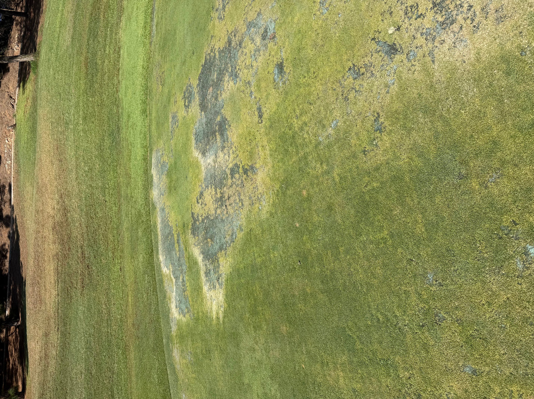 Chaparral Golf Club-米哈斯必去景点