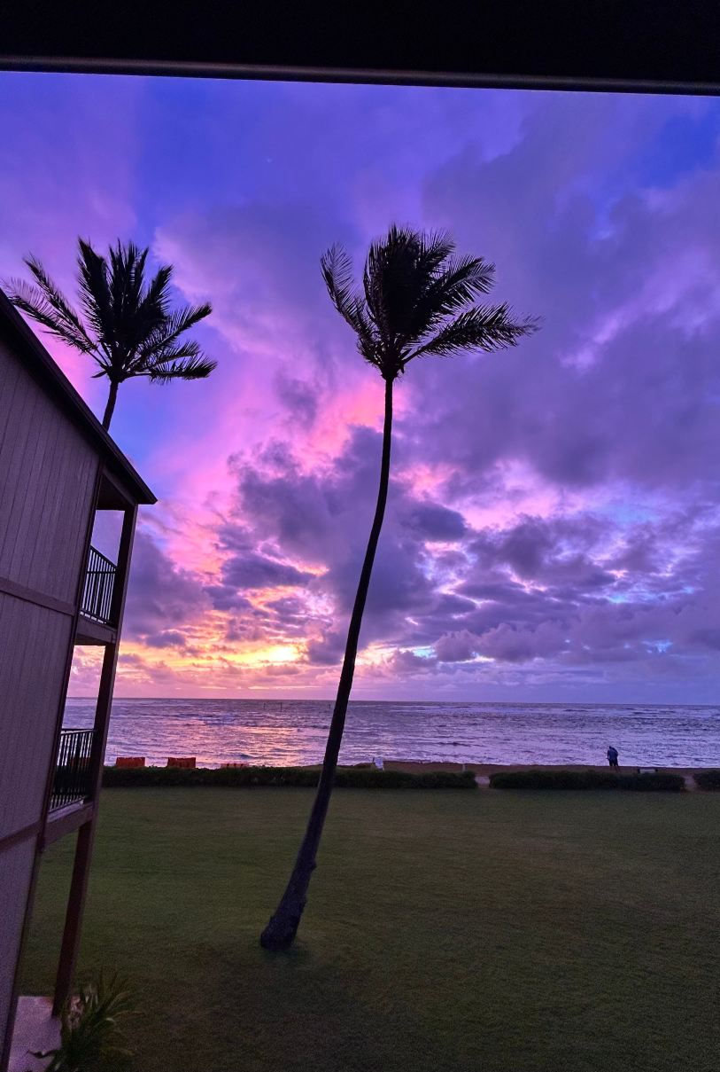 Bluegreen Pono Kai Resort-旅行者