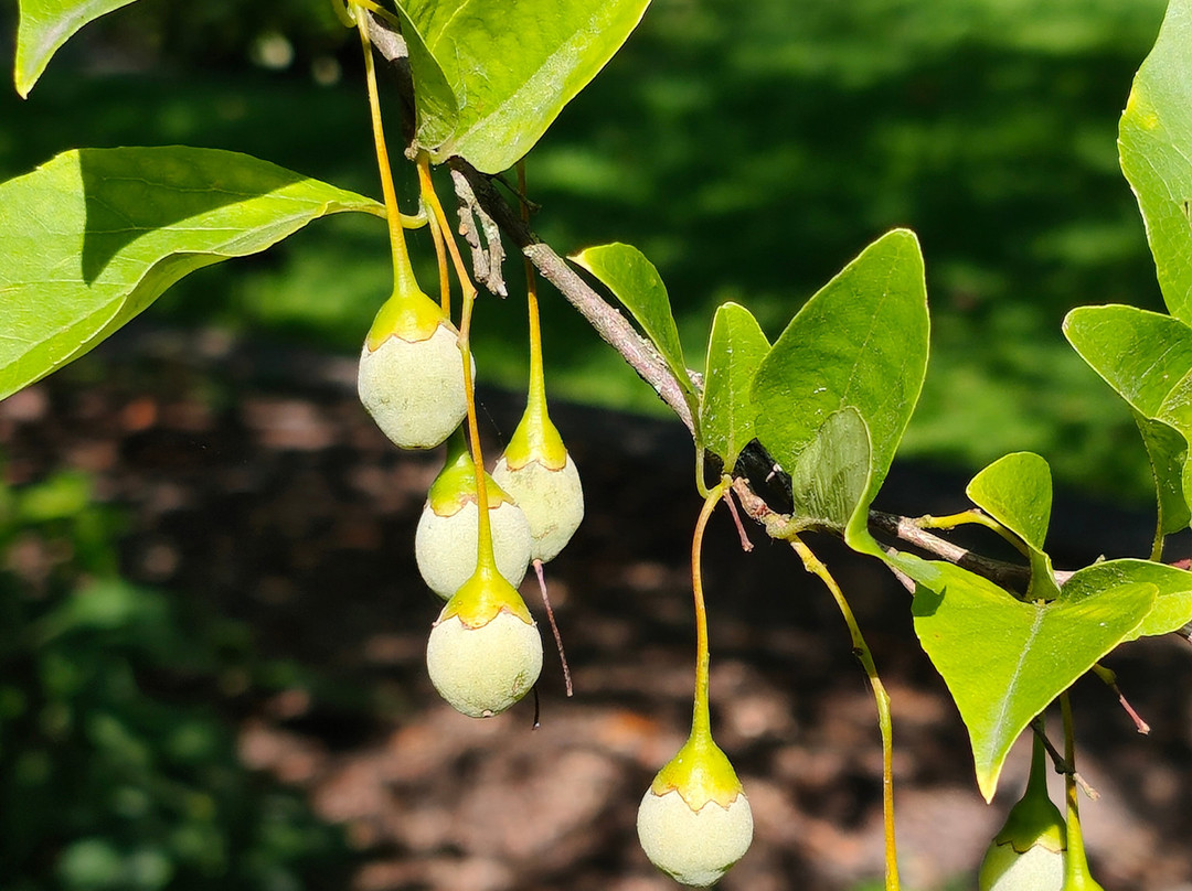 Plantentuin Meise-Meise必去景点