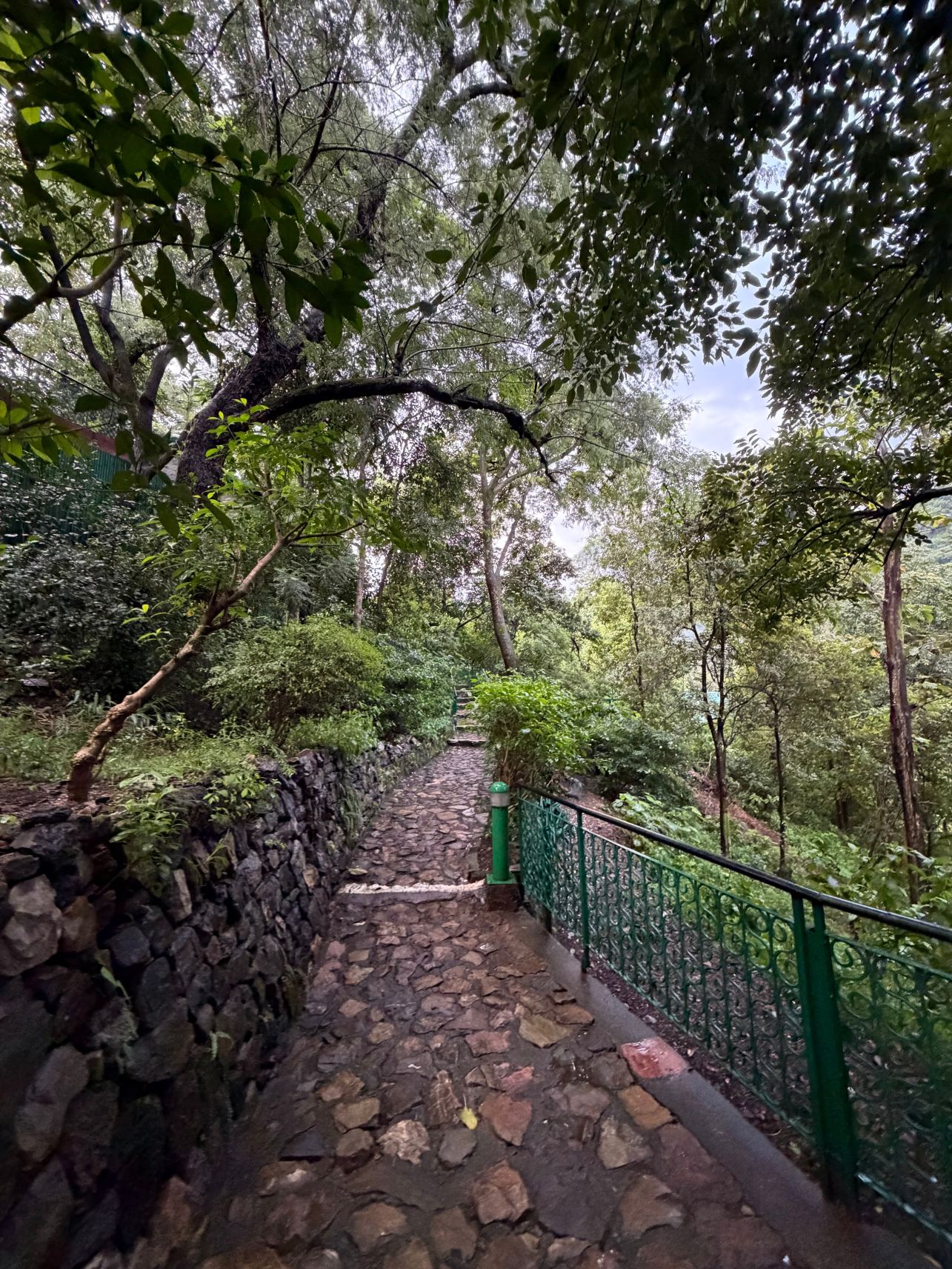尼姆拉纳的恒河玻璃屋-旅行者