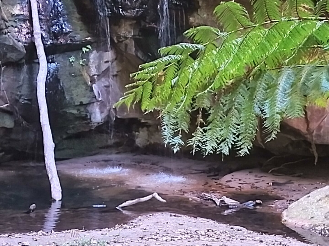 Australian Nature Guides-Carnarvon National Park必去景点