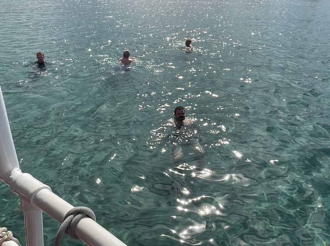 Captain Homer's Boat Trips-Messonghi必去景点