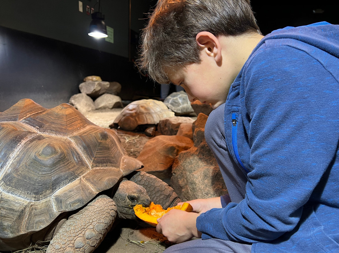 Riverside Reptiles Education Center-Enfield必去景点