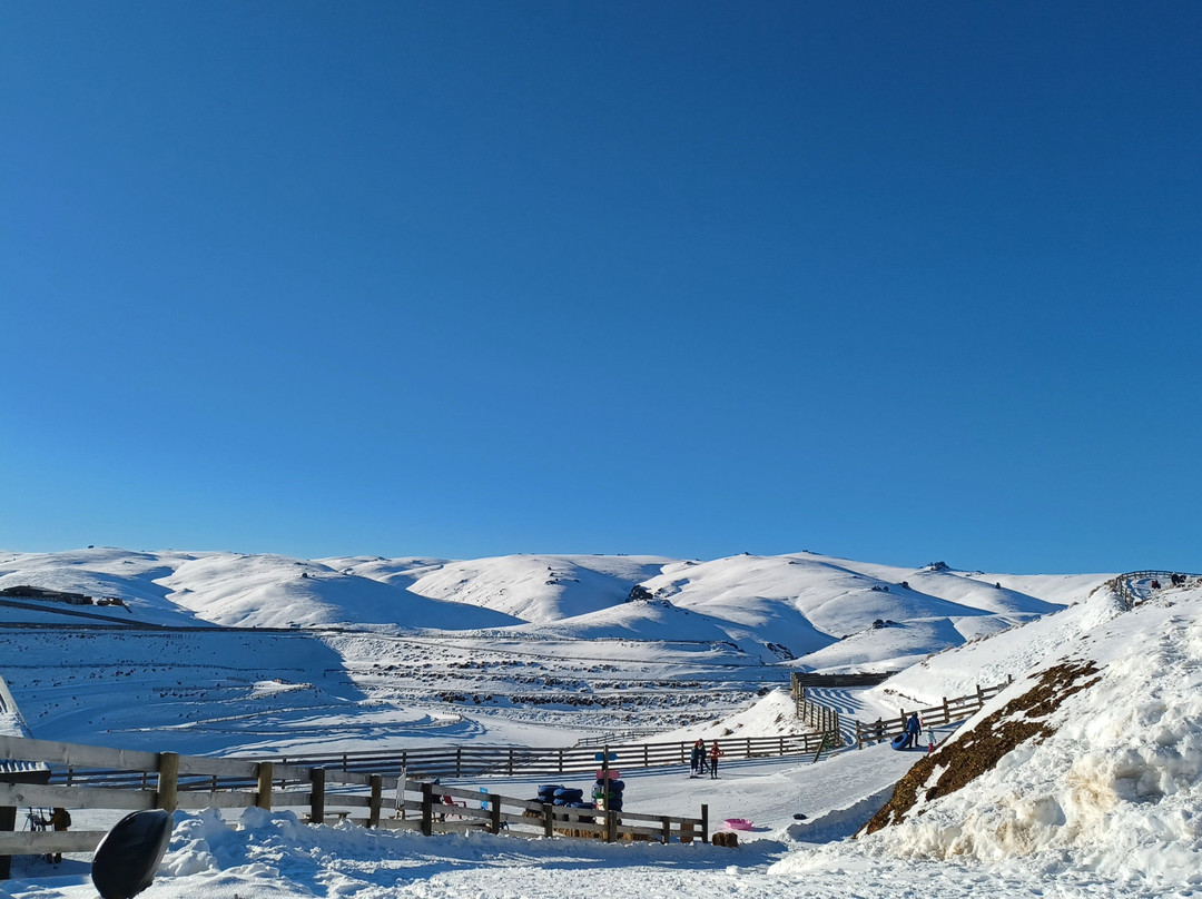 Snow Farm NZ-瓦纳卡必去景点