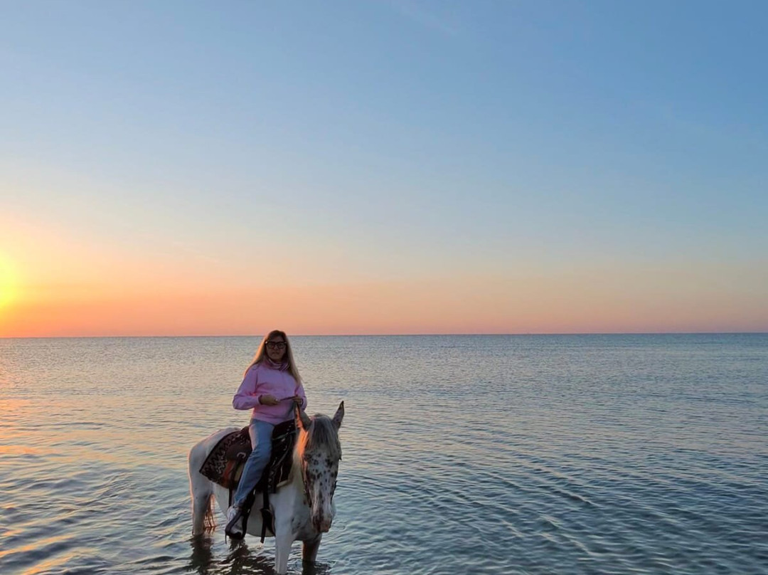 Family Horses 373-5361953-Marina di Ginosa必去景点
