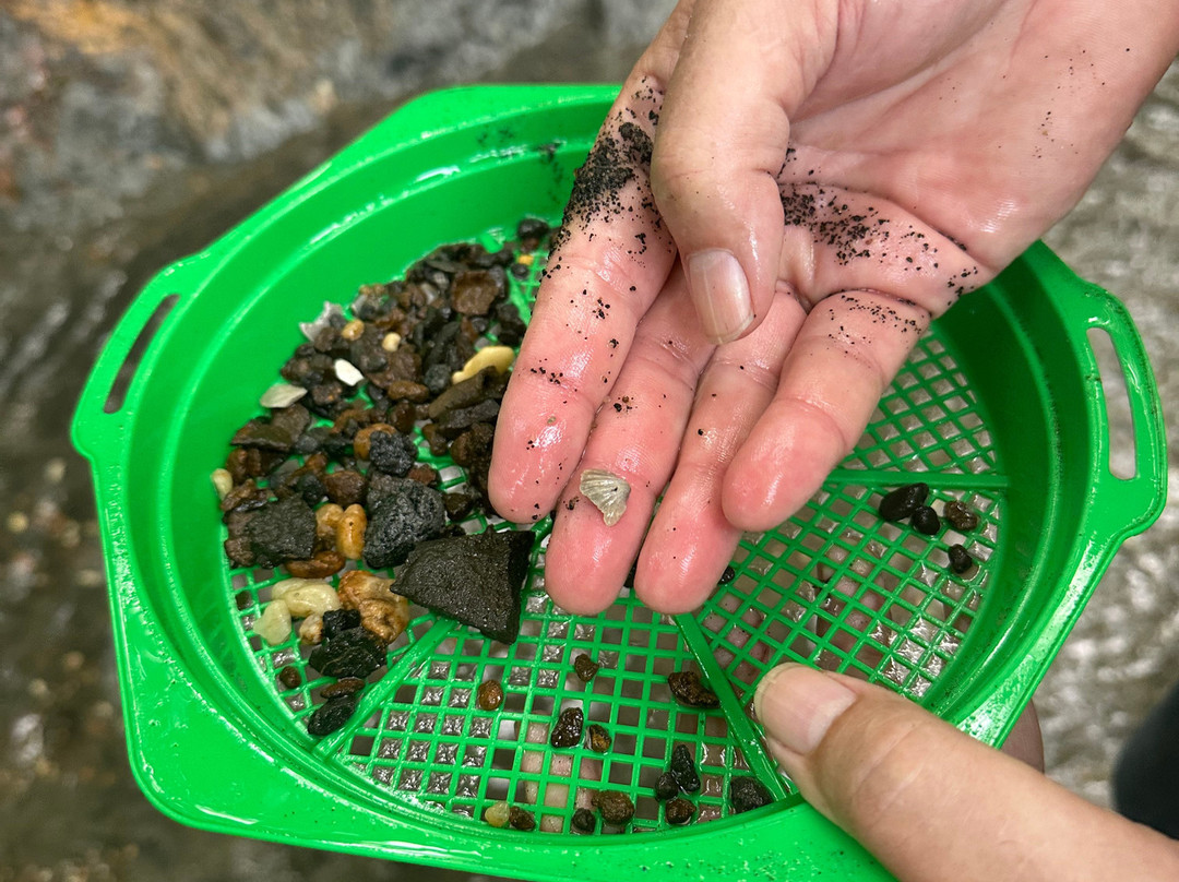 Poricy Park Fossil Beds-Middletown必去景点