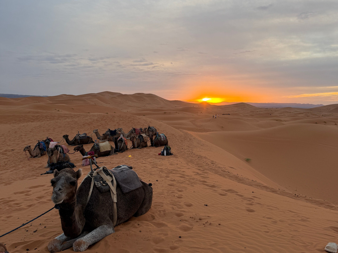Marrakech Excursion-马拉喀什必去景点