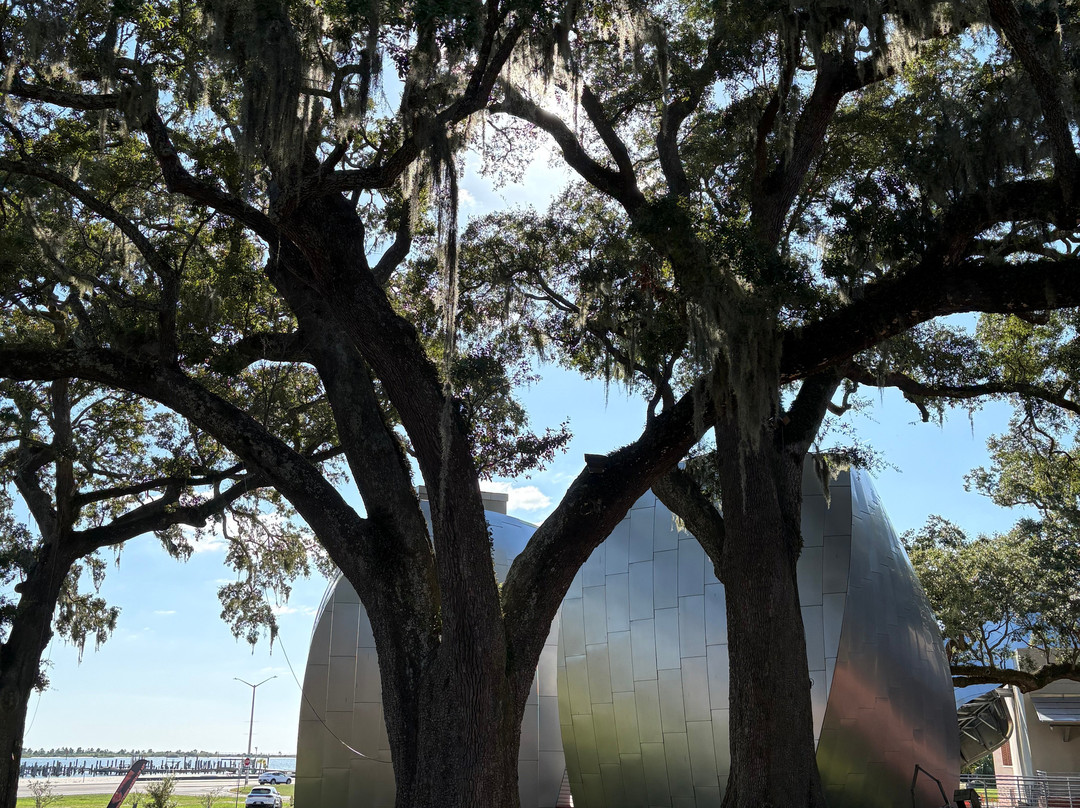 Ohr-O'Keefe Museum of Art-比洛克西必去景点