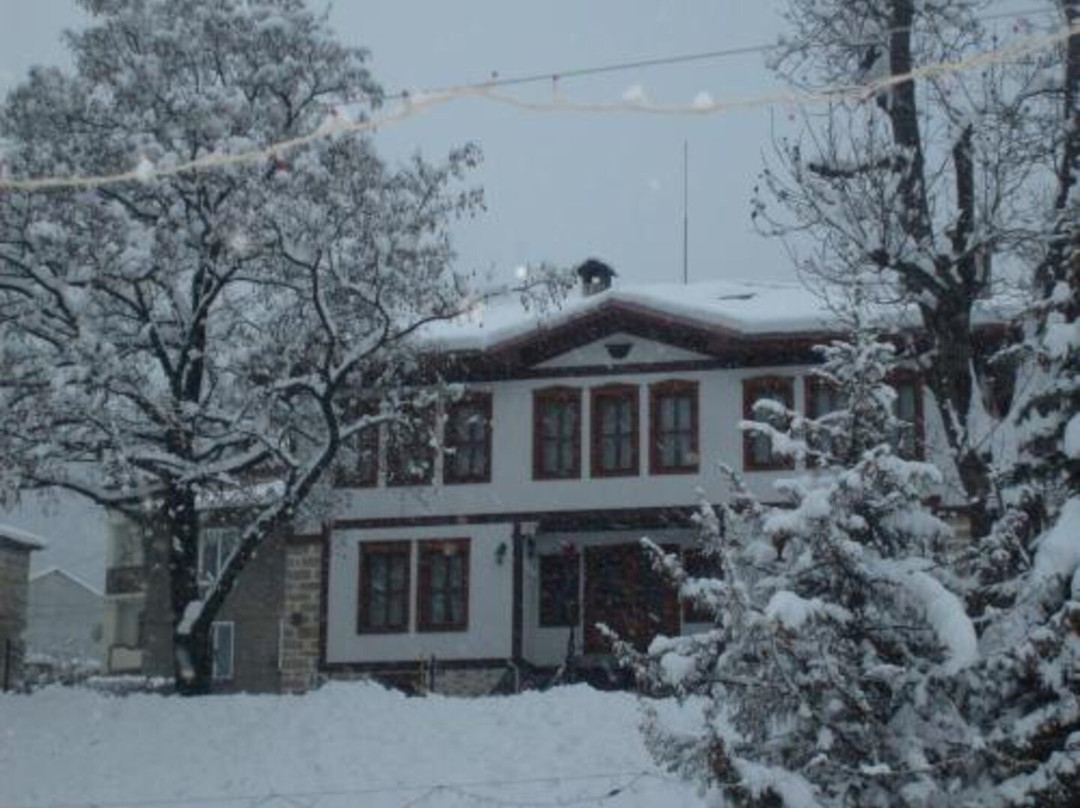 斯莫梁酒店住宿-Petko Takov's House