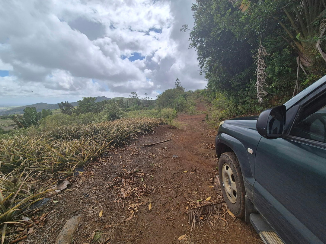 Nature Trails Mauritius-卡特勒博尔纳必去景点