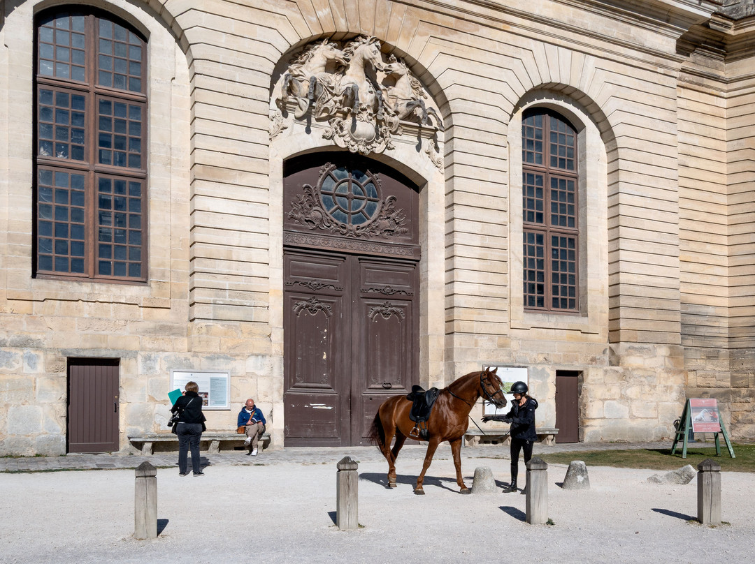 Musée Vivant Du Cheval-尚蒂伊必去景点