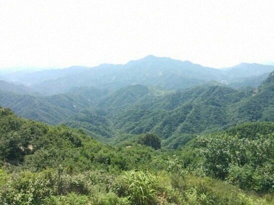 六里坪国家森林公园