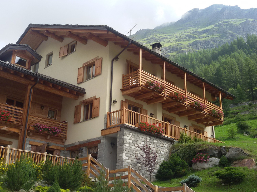 Gressoney-la-Trinité酒店住宿-艾利克斯酒店